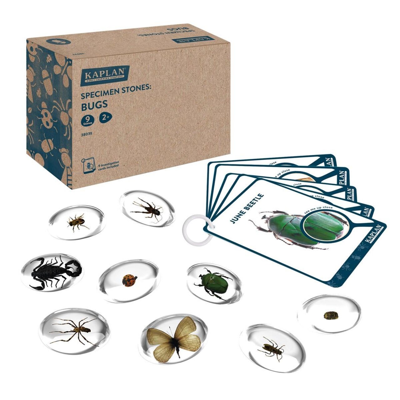 Kaplan Early Learning Company Specimen Stones: Bugs - 9 Pieces